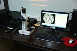Microstructure Analysis
